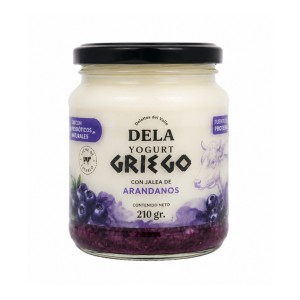 Kéfir de leche con arándanos - 500ml